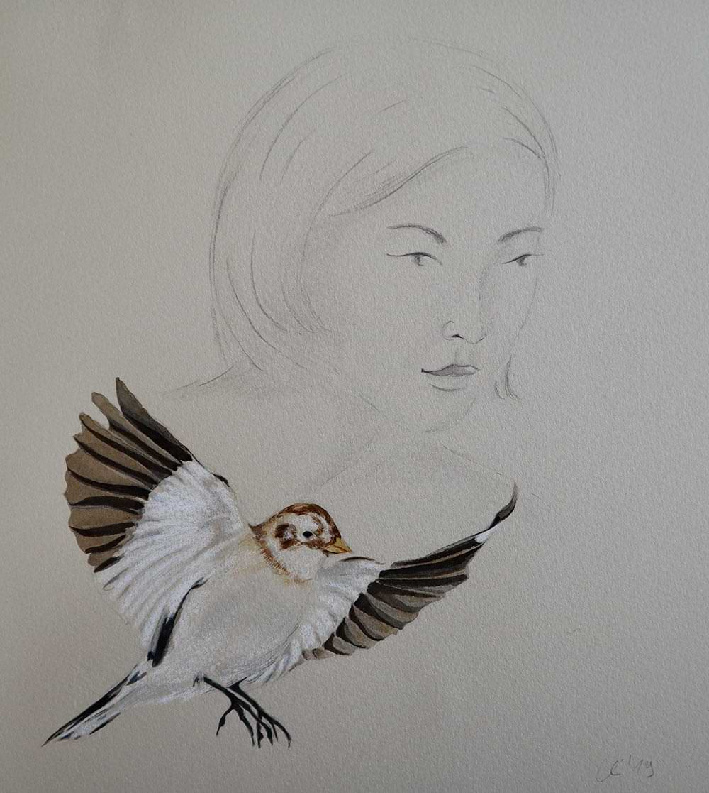 Christianehaag-kuenstlerin-artist-zeichnung-drawing-collage-gefluechtetefrauen-femalerefugees-voegel-birds